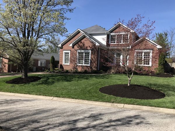 residential home lawn maintenance service