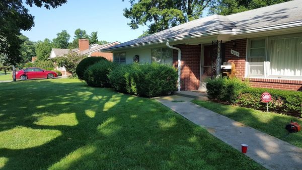 pruning service louisville ky home