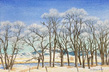 painting of cottonwoods in a winter scene. Hawk in a tree art. Southwest Montana painting.