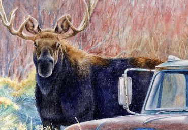 painting of a bull moose standing in a fall landscape next to a vintage Chevy truck. wildlife