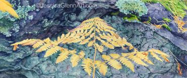 watercolor painting of a yellow fern against a blue rock with green moss and lichens in the forest