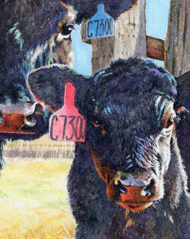 colorful watercolor painting of a black cow and her calf. baby cow, ranch life, cattle