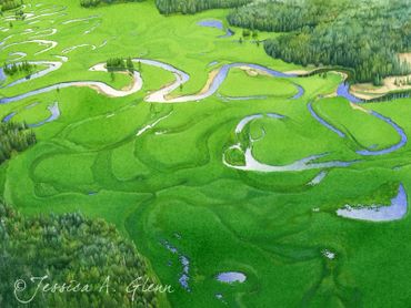 watercolor painting of an aerial view of a winding creek in Yellowstone National Park.