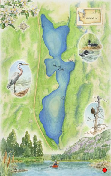 painting of aerial view of lake, painting of topography, Pierre Lake art, Pierre Lake WA artwork
