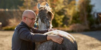 Osteopat Aurelien Serres behandler Hest i hele Norge
