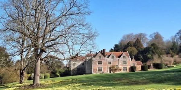 Large country house surrounded by greenery under a clear blue sky.