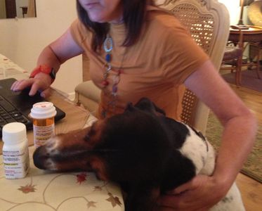 A dog playing with medicine bottles