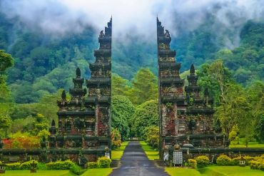 Scenic entrance gate in a lush green forest with fog.