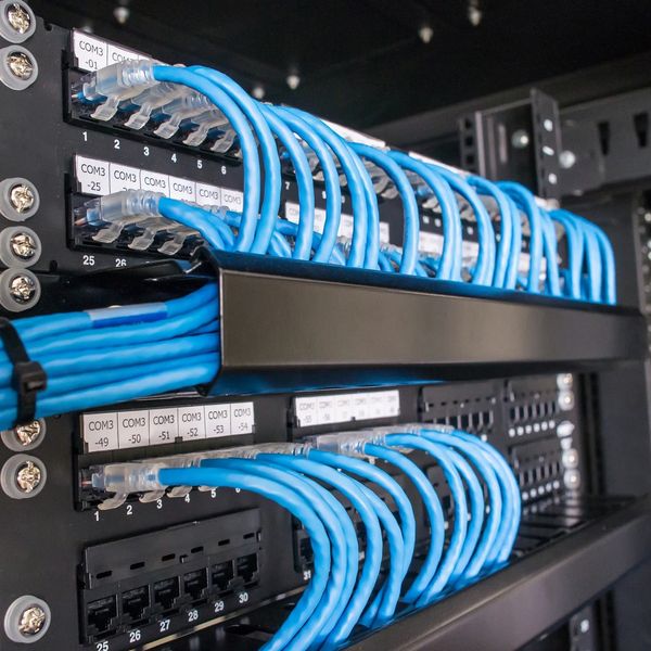 Organized blue Ethernet cables connected to network patch panels.
