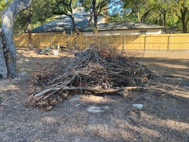 Pile of dry branches and twigs in a backyard near a wooden fence.