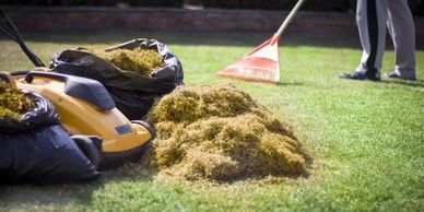 Person raking grass clippings in a lawn.