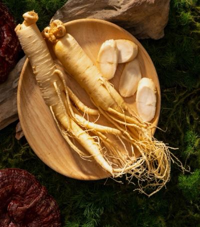 Fresh ginseng roots on a wooden plate.