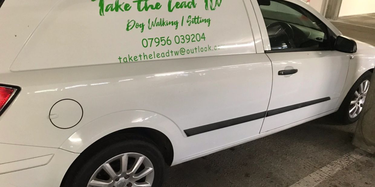 White van with green text advertising dog walking and sitting services.