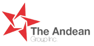 The Andean Group Inc - Consulting Efficient