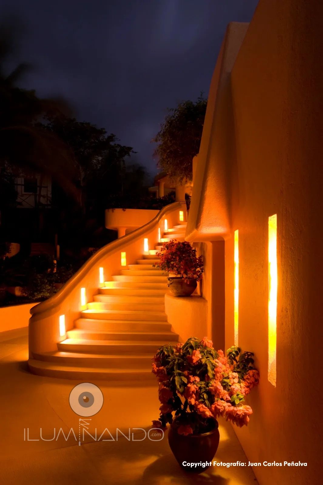 Iluminación cálida en cada peldaño realza la escalera, creando un camino acogedor y elegante.