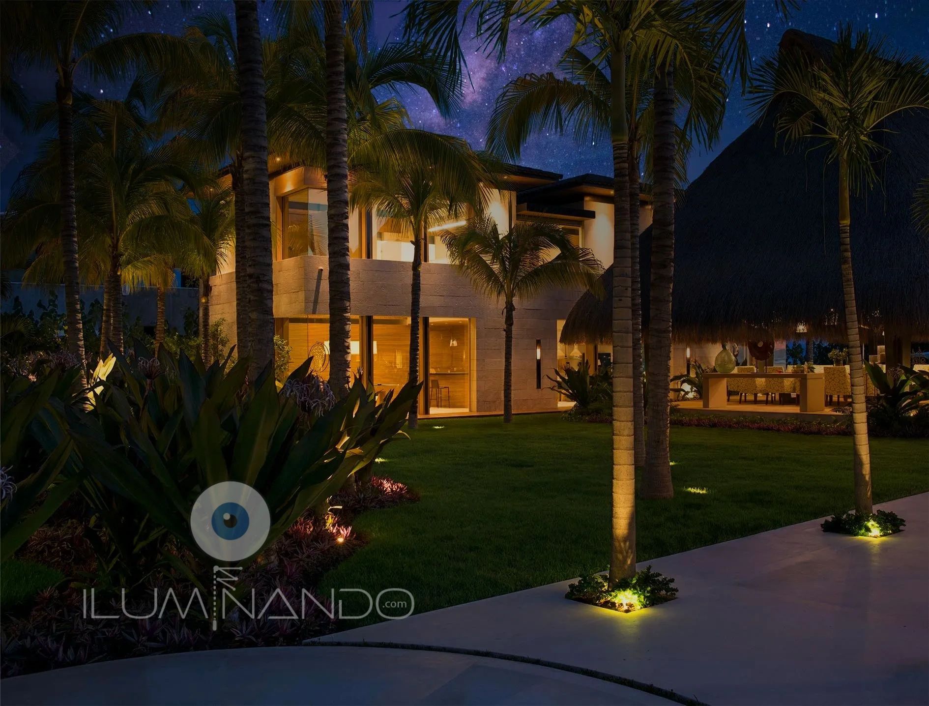 Iluminación tenue resalta las palmeras, creando un ambiente tropical mágico bajo el cielo estrellado