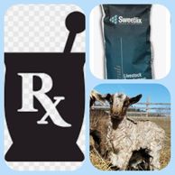 BIRTHING KIKO GOATS,KEEPING KIKO GOATS