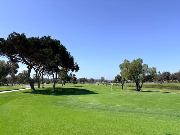 Sunny day on a golf course with green grass and trees.