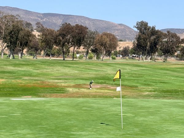 Golf course landscape with a golfer and a yellow flag.