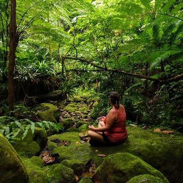 Mindfulness Rainforest Hike Nevis