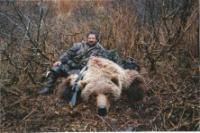 Alaska Hunting Brown Bear