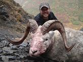 Alaska Hunting Dall Sheep