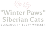 "Winter Paws"
 Siberian Cats