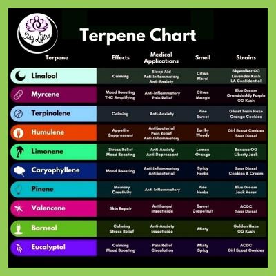 Terpene Chart