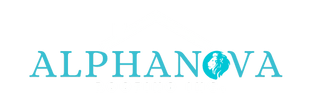 AlphaNova Roofing Inc.