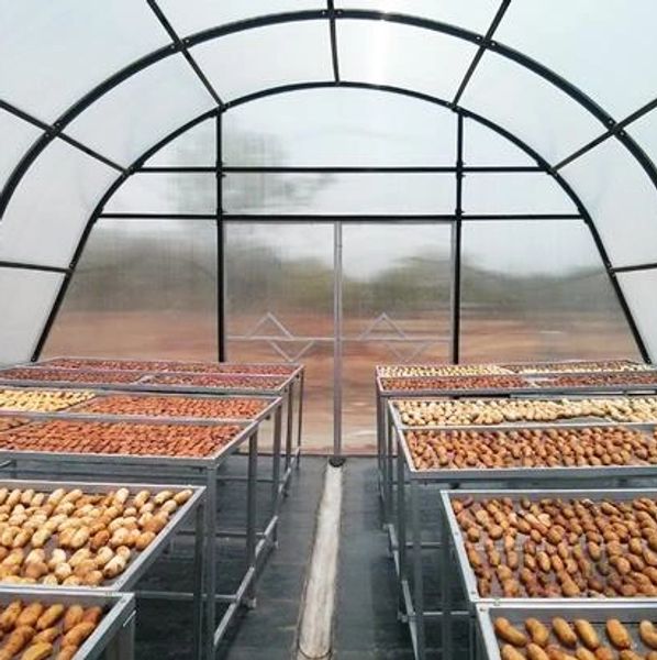 Solar Dried Vegetables Processing Consultants