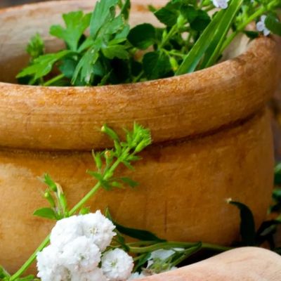 Medicinal herbs -natural herbal medicine for stress relief, nervous system, and hormone balance.