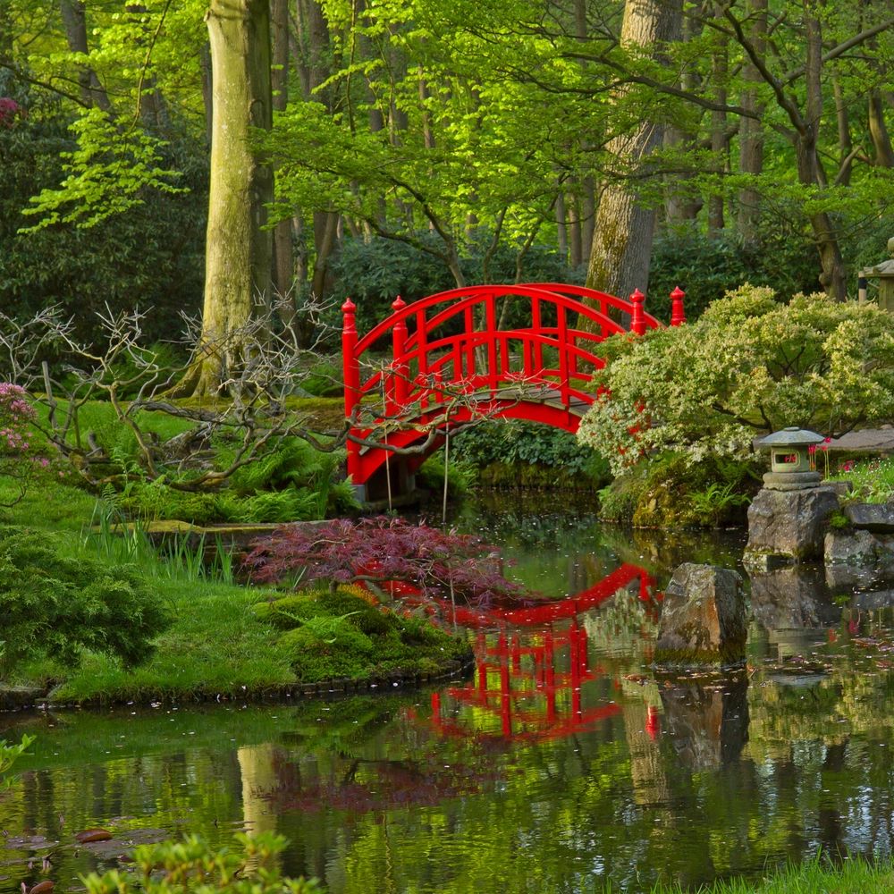 Beautiful Zen garden with greens, water and a red bridge