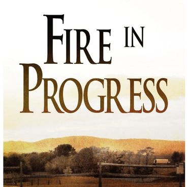 Cover image for Fire in Progress by Heidi Hartwiger