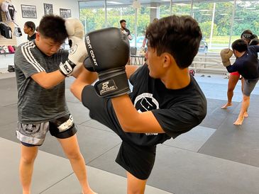 Muay Thai for MMA and Self Defense