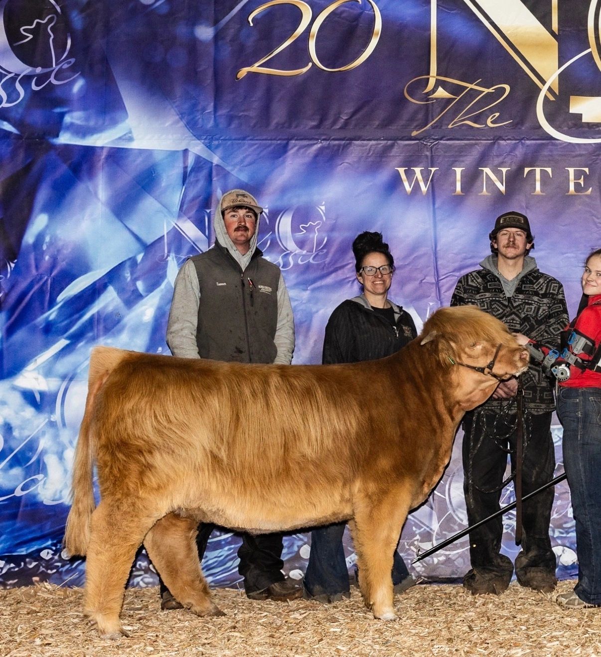 A group of people posing with a fluffy brown cow at a livestock event.