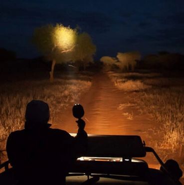 Night Game Drive, Northern Kenya