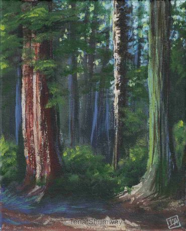 Acrylic study of redwoods.
