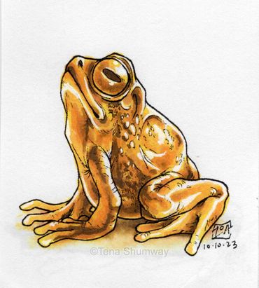 Stylized toad in pen and alcohol markers.