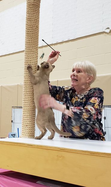 The judge just loving Dante