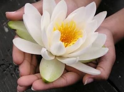 The gift of love and well being