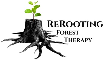 Re-Rooting Forest therapy