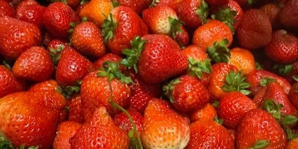 A close-up of fresh, ripe strawberries with green leaves.