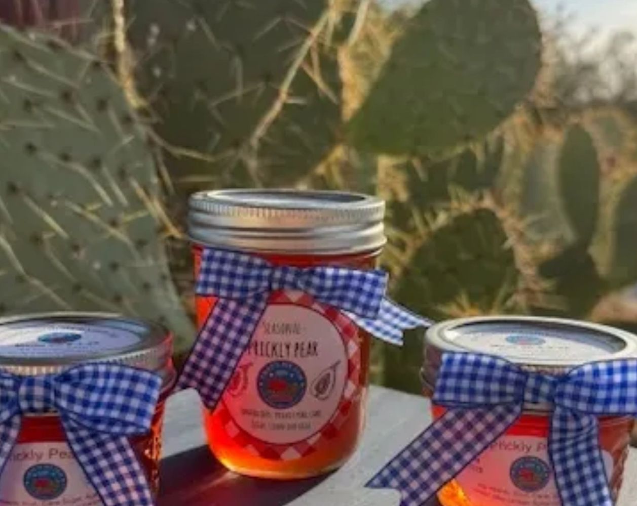 Jars of prickly pear jelly with blue gingham ribbon by a cactus.