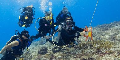 Scuba diving in current or drift diving