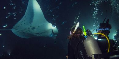 Diving at night underwater