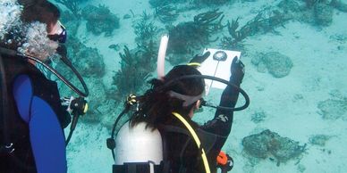 Diving while navigating underwater