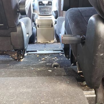 Vacuuming, Pet Hair Removal, Spill Extraction, Carpet Cleaning, Upholstery Cleaning, Shampooing