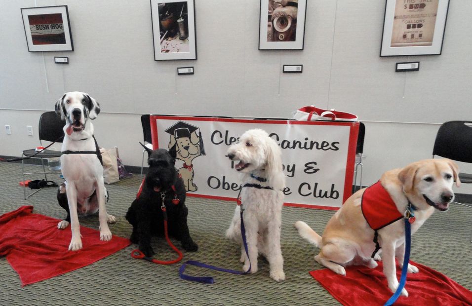 Four therapy dogs posing in front of club sign.