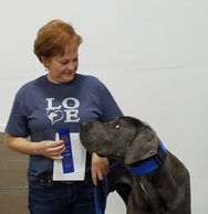 Dog receiving his AKC CGC ribbon for passing the CGC test.