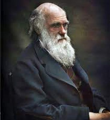 Darwin